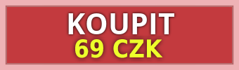 BASIC VIP price