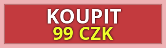 MEDIUM VIP price